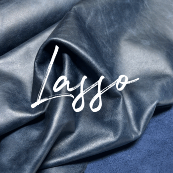 Lasso